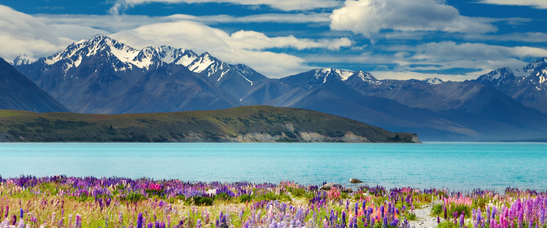 Nature, Movement & Rest: New Zealand Wellness Retreats