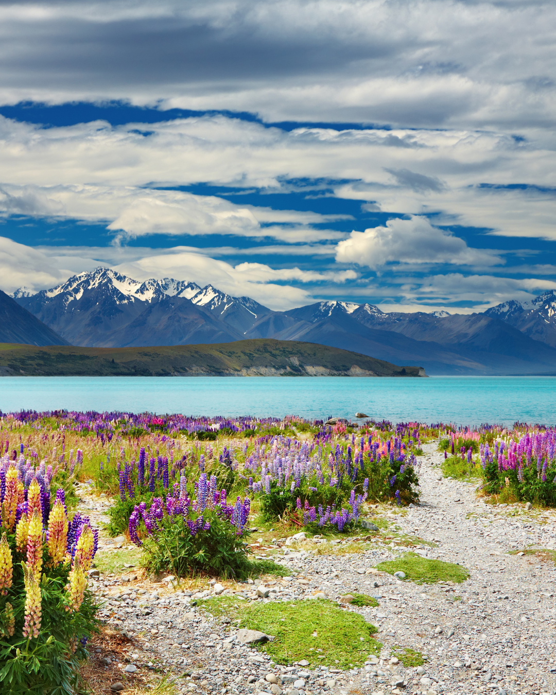 Nature, Movement & Rest: New Zealand Wellness Retreats